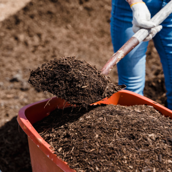 Commercial Composting: Pros, Cons, and When You Still Need a Dumpster